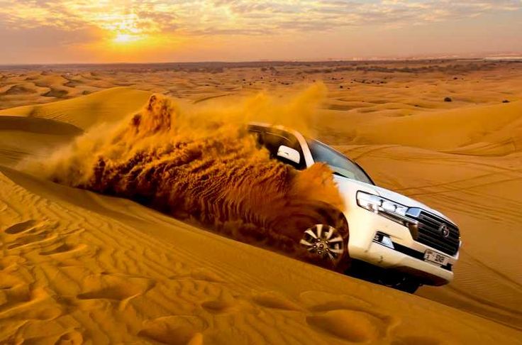 Golden Sands and High Thrills: Desert Dune Safari